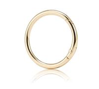 QIUTIMIY 15 Pezzi Scatto Molla Rotonda, O-Ring a Molla, Rotondi Con Moschettone A Scatto Per Portachiavi Adatto per la produzione artigianale di borse, portachiavi, borse, portafogli(Gold,32mm)