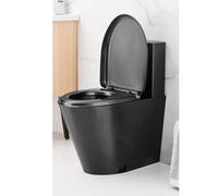 Qiydia WC Commerciale in Acciaio Inossidabile 304, WC Monoblocco con Doppio Scarico Elettrico e Sedile A Chiusura Ammortizzata, WC Ad Alta Efficienza e Risparmio Idrico(Ground Row, Black)