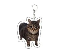 Qizeroty Portachiavi Gattino - Portachiavi Animale in Acrilico,Accessorio Di Moda Souvenir Decorazione Per Borsa Per Adulti Adolescenti Coppie Amici Compagni Di Classe E Zaino Da Scuola