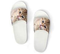 Qjjinxior Cavalier King Charles Spaniel, pantofole antiscivolo per uomo e donna, ciabatte da doccia, Stile bianco 3, 42 2/3 EU
