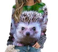Qjjinxior Maglione casual da donna, felpa horror con teschio e albero per donne, girocollo a maniche lunghe, Simpatico piccolo riccio, L
