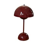 QJRGUY Gentile Lampo Aereo Wireless Multicolor Modesto con Luce per Camere da Letto, Stanze di Dormire, Ufficio