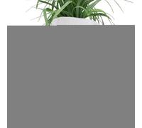 Qkbuza Vaso per piante da giardino con scheletro, vaso per piante grasse e piante grasse, gotico, vaso per Halloween