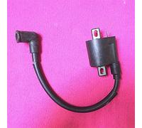 Qklyxr Bobina di accensione for motore della barca, for Parsun, 2 tempi T4 T5 .8 ad alta pressione for fuoribordo T5-05000400 Modulo bobina di accensione motore marino