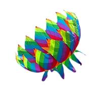 QLoztyse Aquilone 3D a Forma di Fiore per Divertimento E attività All'aperto, Colore dell'arcobaleno