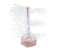 QLoztyse Espositore per Unghie Espositore Stecche Campione Unghie Base Trasparente Espositore Smalto Unghie Spirale PS Resistente Facile Da Usare Adatto, ROSA