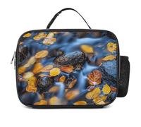 QLPTM Rocks And Branches - Borsa termica per il pranzo, riutilizzabile, portatile, per viaggi, picnic, escursioni