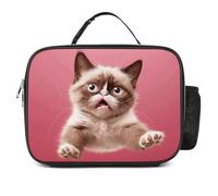 QLPTM The Cat That Jumped On, borsa termica per il pranzo, riutilizzabile, portatile, per viaggi, picnic, escursionismo