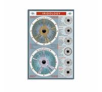QMIQXIWS Educational Iridology Wall Art - Eye Iris Chart & Knowledge Guide Poster, Perfect for Classroom or Therapy Room(Unframed,16x24inch(40x60cm))
