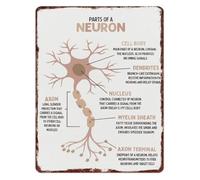 QMKADFQXF 8 X 12 in Aluminum Neuron Anatomy Sign Educational Brain Cell Structure Chart for Classroom Science Study Room Decor