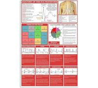 QMKADFQXF Classic Cardiac Conduction Metal Sign SA Node Bundle Branches Poster Physiology Knowledge Plaque Ambulance Bay Paramedic Office Tin 8 X 12 inch