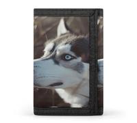 QMKFWT Blue Eyed Husky Dog portafoglio casual porta carte di credito custodia organizer per documenti per uomini e donne
