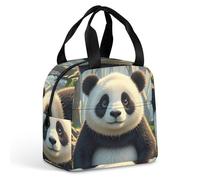 QMKFWT Borsa per il pranzo a tema anime, resistente, isolata, grande, per palestra, portatile, a tenuta stagna, riutilizzabile, per lavoro, viaggi, picnic