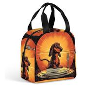 QMKFWT Borsa per il pranzo con bassotto che guarda il piatto, resistente, isolata, grande, per palestra, portatile, a tenuta stagna, riutilizzabile, per lavoro, viaggi, picnic