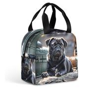QMKFWT Borsa per il pranzo con carlino nero carino resistente isolato grande palestra pranzo tote box portatile a prova di perdite contenitori per alimenti riutilizzabili per il pranzo per lavoro