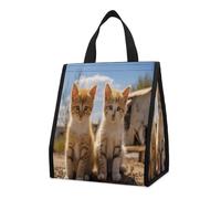 QMKFWT Due piccoli gatti borsa termica zaino pieghevole e riutilizzabile borse termiche per uomo donna