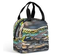 QMKFWT Leopard Little Gecko Borsa per il pranzo resistente isolata grande palestra Lunch Tote box portatile a prova di perdite contenitori per alimenti riutilizzabili per il pranzo per lavoro, viaggi