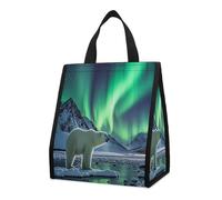 QMKFWT Polar Bears Northern Lights - Borsa termica per il pranzo, pieghevole e riutilizzabile, per uomo e donna