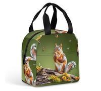QMKFWT Uccelli, scoiattoli, insetti borsa per il pranzo resistente isolata grande palestra pranzo tote box portatile a prova di perdite contenitori per alimenti riutilizzabili per il lavoro viaggi