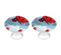 QMNBTES Confezione da 2 pomelli vintage a forma di coccinella e nuvola, per armadietti da cucina, in acciaio inox, decorativi, per cassettiere, cassetti, bagno, armadio, porta a due ante