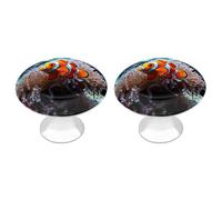 QMNBTES Confezione da 2 pomelli vintage a forma di pesce pagliaccio, graziosi pomelli per armadietti da cucina, in acciaio inossidabile, pomelli decorativi per mobili, maniglie per cassettiera, bagno