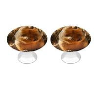 QMNBTES Confezione da 2 pomelli vintage disegnati a mano per armadietti da cucina, in acciaio inox, decorativi per mobili, maniglie per cassettiere, cassetti, bagno, armadio, porta a due ante