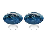 QMNBTES Confezione da 2 pomelli vintage per armadietti da cucina, in acciaio inox, decorativi, per cassettiere, cassetti, bagno, armadio, porta a due ante