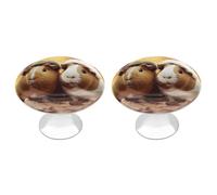 QMNBTES Confezione da 2 pomelli vintage per armadietti da cucina, in acciaio inox, decorativi, per cassettiere, cassetti, bagno, armadio, porta a due ante