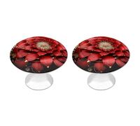 QMNBTES Confezione da 2 pomelli vintage per armadietti da cucina, in acciaio inox, decorativi, per cassettiere, cassetti, bagno, armadio, porta a due ante