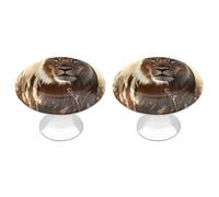 QMNBTES Female Lion - Confezione da 2 pomelli vintage per armadietti da cucina, in acciaio inox, decorativi, per cassettiere, cassetti, bagno, armadio, porta a due ante