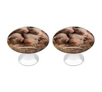 QMNBTES Four Little Pigs - Confezione da 2 pomelli vintage per armadietti da cucina, in acciaio inox, decorativi, per cassettiere, cassetti, bagno, armadio, porta a due ante