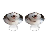 QMNBTES Husky Piquant Dog - Confezione da 2 pomelli vintage per armadietti da cucina, in acciaio inox, decorativi, per cassettiere, cassetti, bagno, armadio, porta a due ante