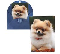 QMNSEHF Biglietto di auguri con cane pomerania dai capelli corti con buste Thank YouCard Biglietto di buon compleanno per donne uomini Natale Halloween matrimonio biglietti vuoti per tutte le