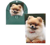 QMNSEHF Biglietto di auguri con cane pomerania dai capelli corti con buste Thank YouCard Biglietto di buon compleanno per donne uomini Natale Halloween matrimonio biglietti vuoti per tutte le