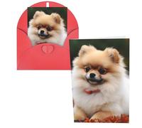 QMNSEHF Biglietto di auguri con cane pomerania dai capelli corti con buste Thank YouCard Biglietto di buon compleanno per donne uomini Natale Halloween matrimonio biglietti vuoti per tutte le