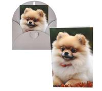 QMNSEHF Biglietto di auguri con cane pomerania dai capelli corti con buste Thank YouCard Biglietto di buon compleanno per donne uomini Natale Halloween matrimonio biglietti vuoti per tutte le