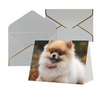 QMNSEHF Biglietto di auguri vuoto con buste Thank YouCard a pelo corto con cane pomerania biglietto di buon compleanno per donne uomini Natale Halloween matrimonio biglietti vuoti per tutte le