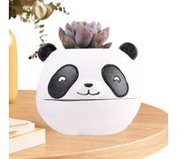 qokeeu Vaso per piante | Graziosa figura animale sicuro per interni - Vaso per piante grasse e decorazione da giardino - per la casa balcone terrazza cactus orchidee piante grasse