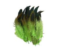 QOKLIYUI 50 pacchi/Lotto Mestieri di Piume Fai-da-Te Realizzati con Fibra per Una Bellezza duratura Piuma di Gallo Naturale Piume Colorate Facile, Frutta Verde
