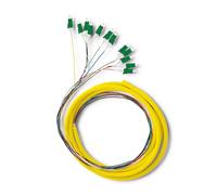 Qoltec 12 x Pigtail in fibra ottica LC/APC | Monomodale | G657A2 | 2 m