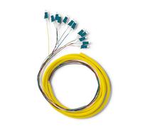 Qoltec 12 x Pigtail in fibra ottica LC/UPC | Monomodale | G657A2 | 2 m
