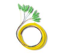 Qoltec 12 x Pigtail in fibra ottica SC/APC | Monomodale | G657A2 | 2 m