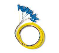 Qoltec 12 x Pigtail in fibra ottica SC/UPC | Monomodale | G657A2 | 2 m
