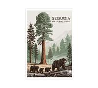 QOTOPGPG Poster su tela The Redwood National and State Parks (11), decorazione per camera da letto, ufficio, stanza, regalo, 30 x 45 cm