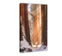 QOTOPGPG Poster su tela The Redwood National and State Parks (8), decorazione per camera da letto, ufficio, stanza, regalo, 30 x 45 cm