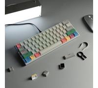 QPSJXN 60 percento di retrò da gioco retrò meccanico scambiabile cablato con connessione RGB Type-C vari sistemi(Grey)