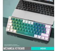 QPSJXN Tastiera da gioco meccanico di Oulylan T60 Tipo di gioco meccanico C 62 Compatibile con Windows e Notebook per PC(Aqua green)