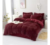 QQLADY Copripiumino invernale in peluche ispessito da 3 pezzi e federa per letto in dormitorio per letti singoli e matrimoniali