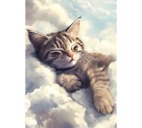 QQYRHN Cat in the Clouds Diamond Painting Kits for Adults Beginners, 5D Sleeping Cat Diamond Art Kits, DIY Round Full Drill Kitten Gem Art with Painting Kits Relaxing Craft Home Wall Decor 12x16 Inch