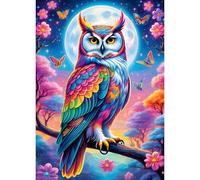 QQYRHN Colourful Owl Diamond Painting Kits for Adults Beginners, 5D Moon Diamond Art Kits, DIY Round Full Drill Diamond Dots Flowers Diamond Art with Painting Kits for Home Wall Decor 12x16 Inch